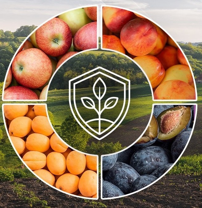 Bitkisel Ürün Sigortası