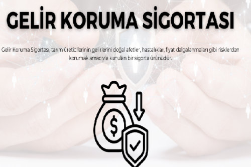 Gelir Koruma Sigortası