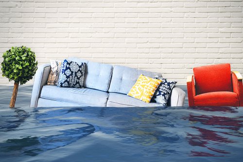 Konut ve Eşya Sigortası